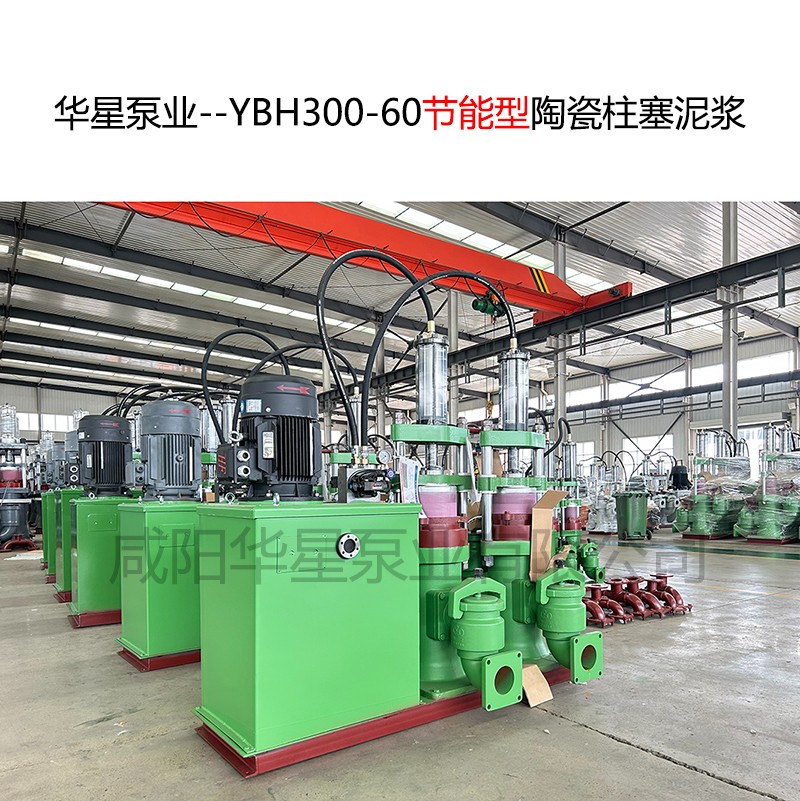 YBH300-60
